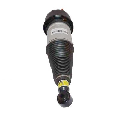 Sostituzione posteriore sospensione aerea ammortizzatore di aria Jaguar XJ XJ8 XJR C2C41341