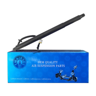 Strut di porta Power Lift 51247318651 Per BMW X6 F16 2015-2019 Sinistra 1 spina