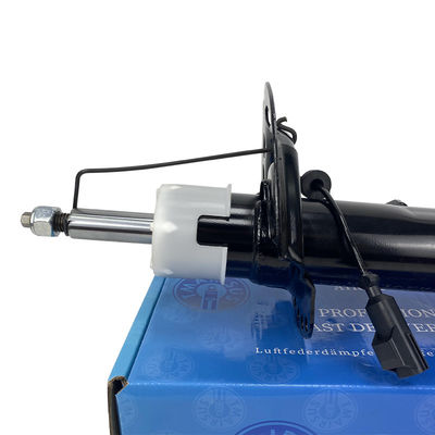 Lincoln MKX Nautilus Steel Air Shock Absorber F2GZ18124AV Fronte sinistra o destra