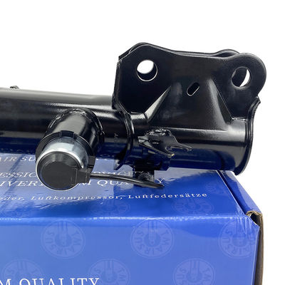 Assorbitori di urti per Lincoln MKX Nautilus OE F2GZ18124AV