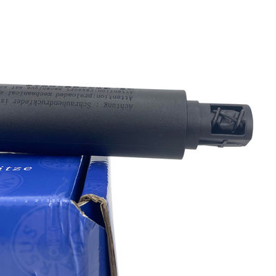 Portale silenzioso per BMW X5 E70 E70 LCI 2007-2013 100% testato OEM 51247332696