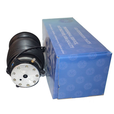2133200225 2133280200 Suspensione antiaerea posteriore molla W213 Classe E W253 X290 W257 C257 C238 E- Coupé con certificazione ISO