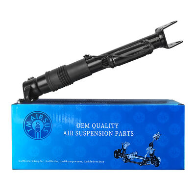 Sistema di gestione della sospensione d'aria con assorbenti d'urto pneumatici Ben-Z W251/R300