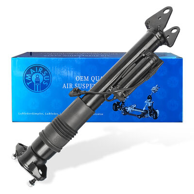 Sistema di gestione della sospensione d'aria con assorbenti d'urto pneumatici Ben-Z W251/R300