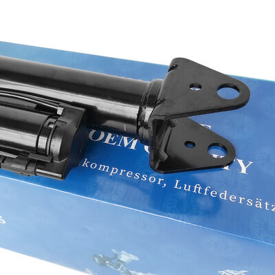 Sistema di gestione della sospensione d'aria con assorbenti d'urto pneumatici Ben-Z W251/R300