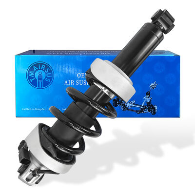 Sospensione pneumatica anteriore sinistra con annunci per Au-Di R8 420412019AG