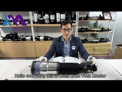 Ammortizzatore della sospensione dell'aria della parte posteriore di F02 F01