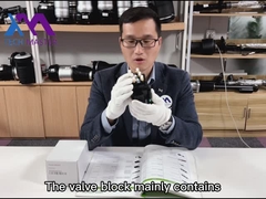 Blocchetti della valvola per aria di Audi A8 D4