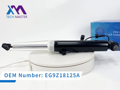 Tech Master Lincoln MKT Assorbente di urti posteriore sinistro con ADS DE9Z18125J, DE9Z18125B, DE9Z18125G