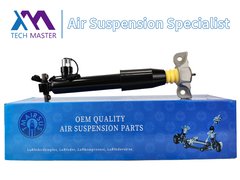 Tecno-Master Assorbente di urti posteriore sinistro per Lincoln MKX F2GZ18125Z