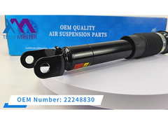 Absorbente di urti posteriore per Cadillac C5 22248830