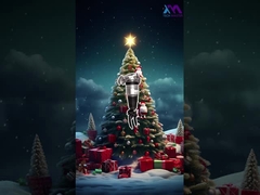 Buon Natale dal Maestro Tecnico.