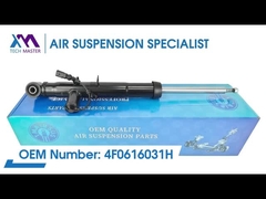 TMAIRSUS Assorbitore di urto posteriore sinistro per Audi A6L/C6 4F0616031H