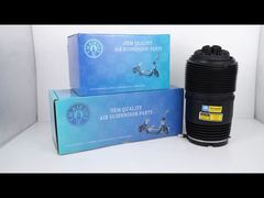 Tech Master TMAIRSUS Molla pneumatica posteriore sinistra per Porsche Panamera 971 Bentley Flying Spur Continental G