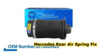 Molla pneumatica posteriore Mercedes-Benz W251/R350 R500