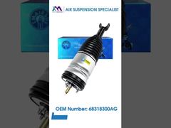 Tech Master Ammortizzatore pneumatico TMAIRSUS per Dodge RAM 1500